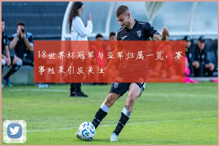 18世界杯冠军与亚军归属一览,赛事结果引发关注