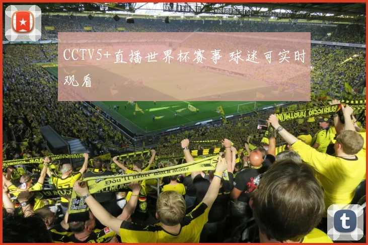 CCTV5+直播世界杯赛事 球迷可实时观看