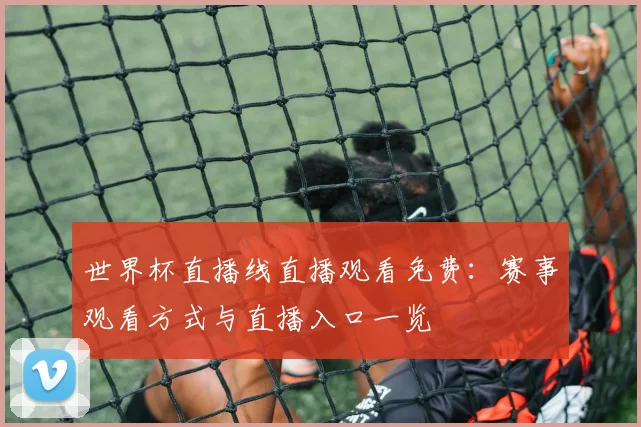 世界杯直播线直播观看免费:赛事观看方式与直播入口一览
