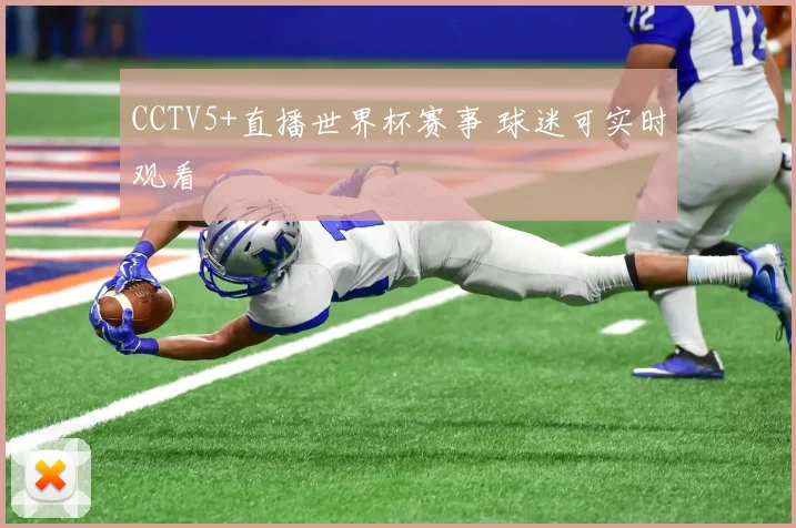 CCTV5+直播世界杯赛事 球迷可实时观看