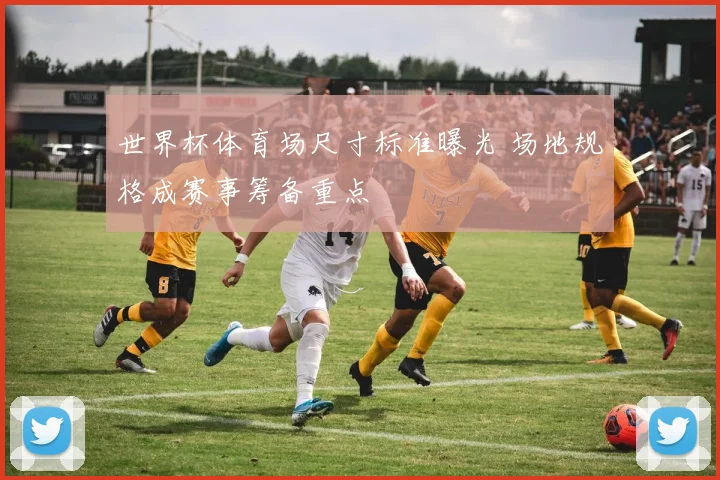 世界杯体育场尺寸标准曝光 场地规格成赛事筹备重点