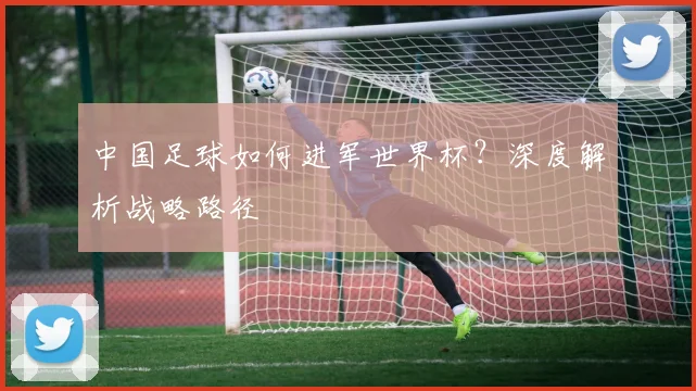 中国足球如何进军世界杯？深度解析战略路径