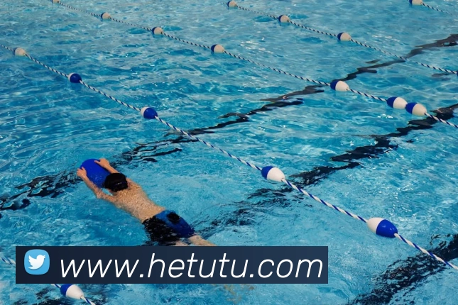 开云手机·官方版网站登录入口 - 开云(中国)发展历程